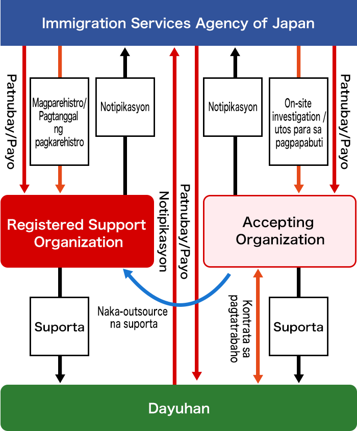 Ang relasyon ng Immigration Services Agency of Japan, registered support organization, accepting organization, at mga dayuhan ay ang mga sumusunod:
Ang accepting organization ang gagawa ng kontrata para sa pagtatrabaho ng mga dayuhan, at susuportahan ang mga dayuhan.
Ang accepting organization ay maaaring mag outsource ng suporta para sa mga dayuhan sa registered support organization.
Ang Immigration Services Agency of Japan ang makakapag rehistro/magtanggal ng rehistro ng registered support organization.
Ang registered support organization ay susuporta sa mga dayuhan.
Ang Immigration Services Agency of Japan ay maaaring mag on-site investigation/mag utos para sa pagpapabuti ng accepting organization.
